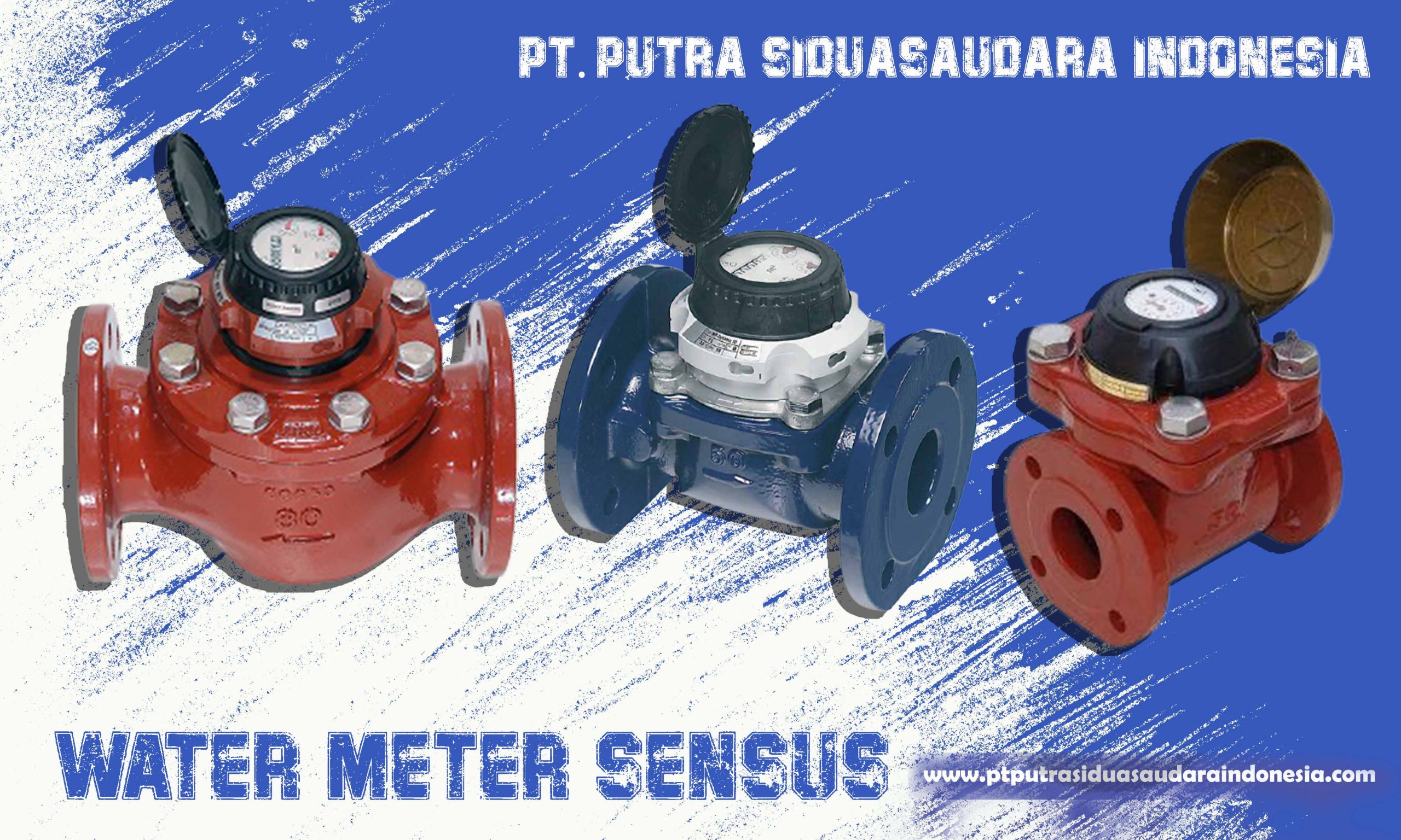 water meter sensus