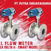 OVAL FLOW METER Vortex- EX DELTA II - Smart Model